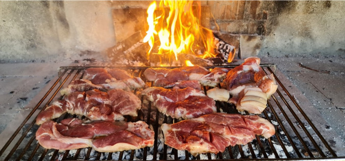 Dalma Residence blizu mora, Žaborić, Dalmacija Žaborić