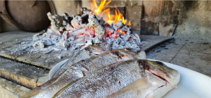 Dalma Residence blizu mora, Žaborić, Dalmacija Žaborić