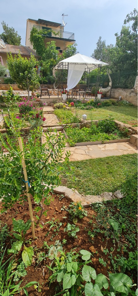 Eksterijer, Dalma Residence blizu mora, Žaborić, Dalmacija Žaborić