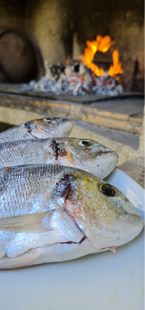 Dalma Residence blizu mora, Žaborić, Dalmacija Žaborić