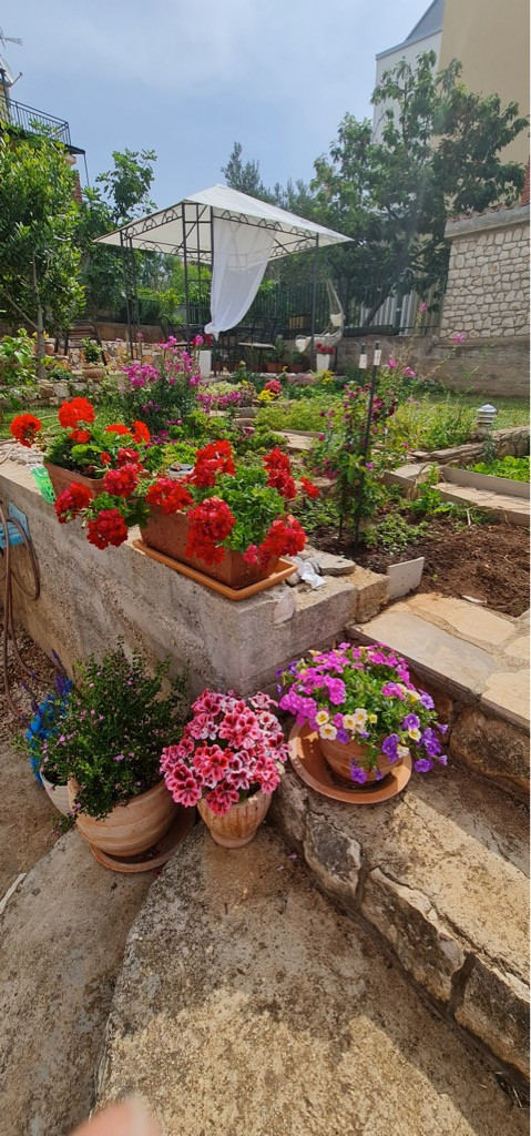 Dalma Residence blizu mora, Žaborić, Dalmacija Žaborić