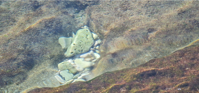 Dalma Residence blizu mora, Žaborić, Dalmacija Žaborić