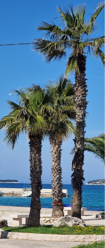 Okolica, Dalma Residence blizu mora, Žaborić, Dalmacija Žaborić