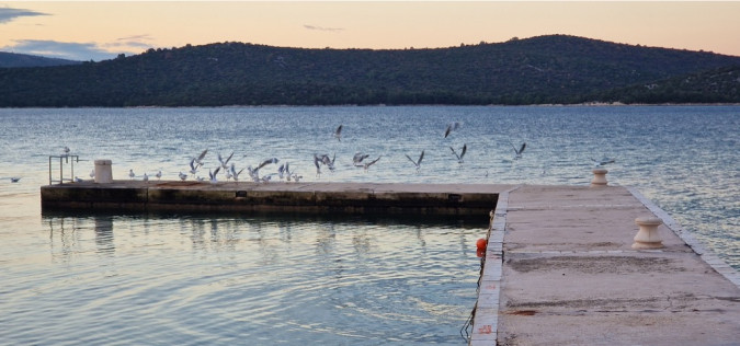 Dalma Residence blizu mora, Žaborić, Dalmacija Žaborić