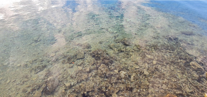 Dalma Residence blizu mora, Žaborić, Dalmacija Žaborić