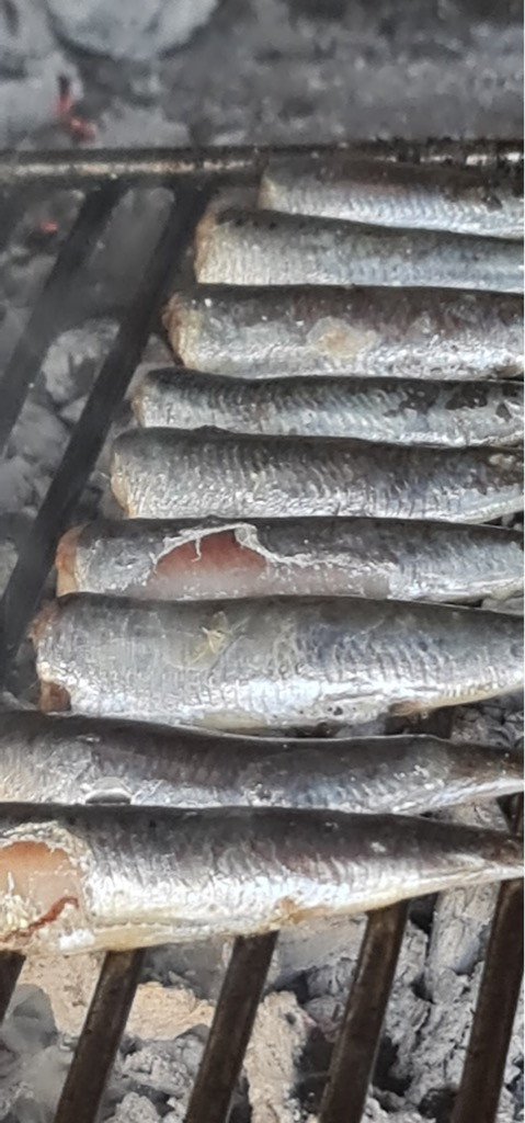 Dalma Residence blizu mora, Žaborić, Dalmacija Žaborić