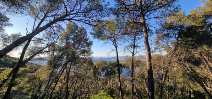 Dalma Residence blizu mora, Žaborić, Dalmacija Žaborić