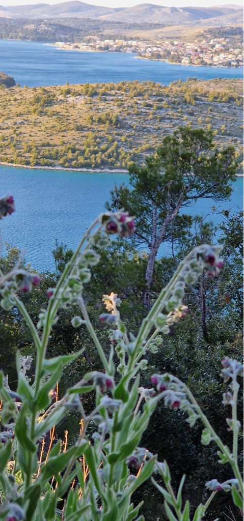 Dalma Residence blizu mora, Žaborić, Dalmacija Žaborić