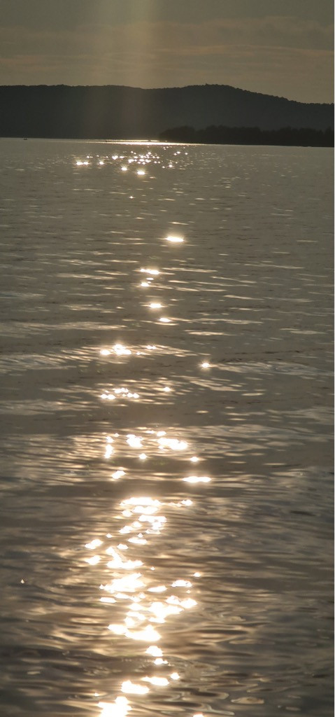 Dalma Residence blizu mora, Žaborić, Dalmacija Žaborić