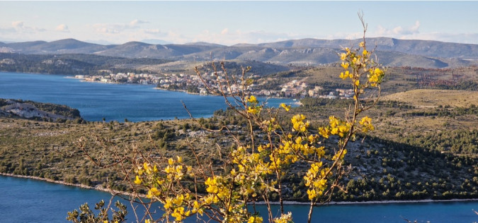 Dalma Residence blizu mora, Žaborić, Dalmacija Žaborić
