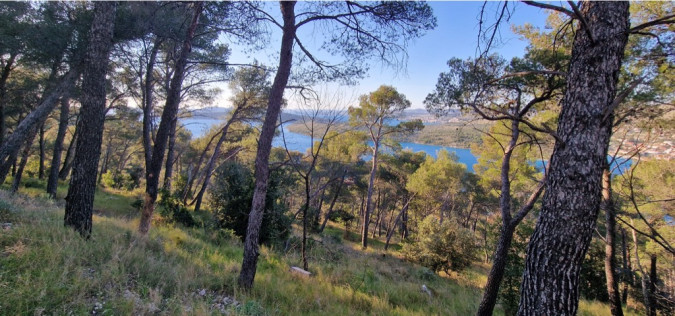 Dalma Residence blizu mora, Žaborić, Dalmacija Žaborić