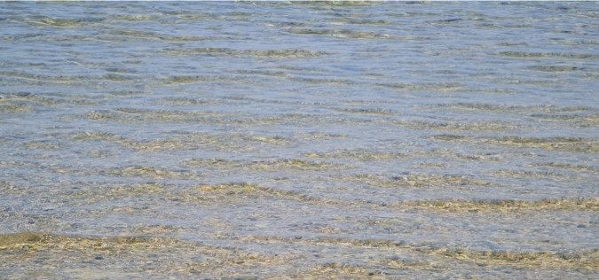 Dalma Residence blizu mora, Žaborić, Dalmacija Žaborić