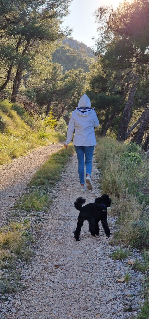 Dalma Residence blizu mora, Žaborić, Dalmacija Žaborić