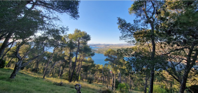 Dalma Residence blizu mora, Žaborić, Dalmacija Žaborić