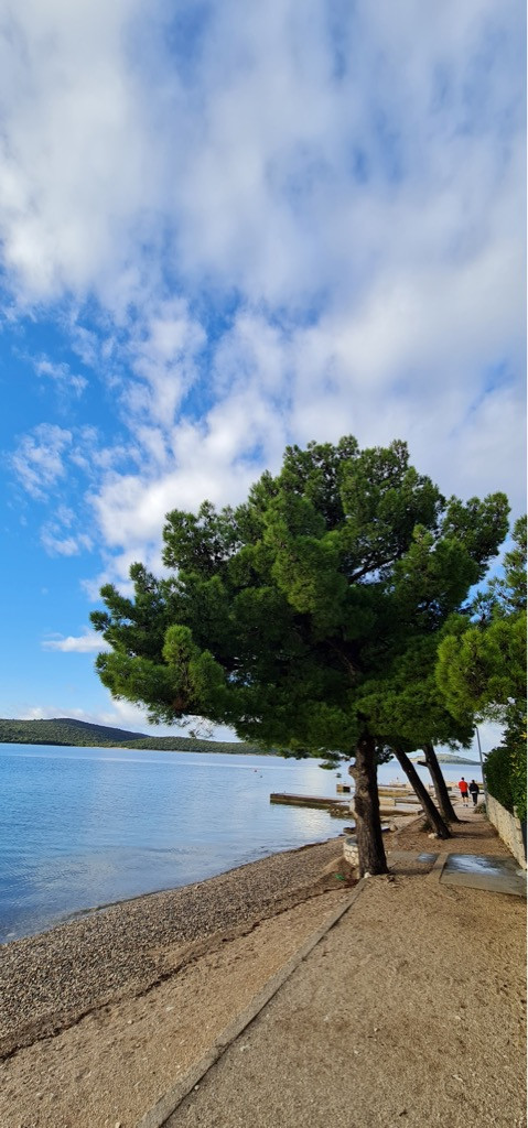 Dalma Residence blizu mora, Žaborić, Dalmacija Žaborić