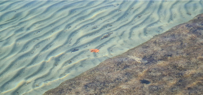 Dalma Residence blizu mora, Žaborić, Dalmacija Žaborić