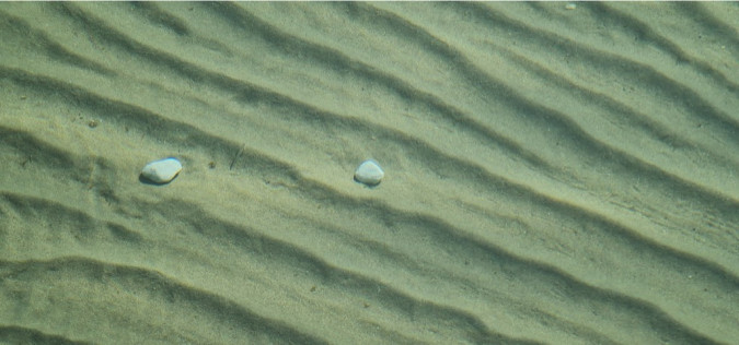 Dalma Residence blizu mora, Žaborić, Dalmacija Žaborić