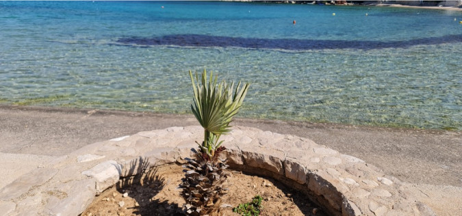 Dalma Residence blizu mora, Žaborić, Dalmacija Žaborić