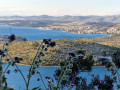 Dalma Residence near the sea, Žaborić, Dalmatia, Croatia Žaborić