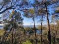 Dalma Residence near the sea, Žaborić, Dalmatia, Croatia Žaborić